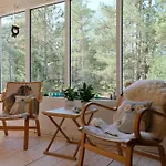 House With Clear View Of The Forest Near *