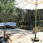 House With Clear View Of The Forest Near *