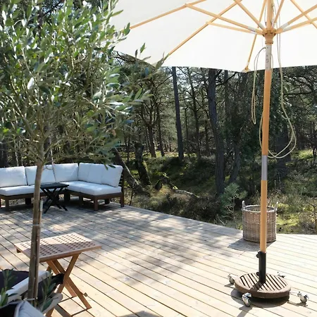 House With Clear View Of The Forest Near *
