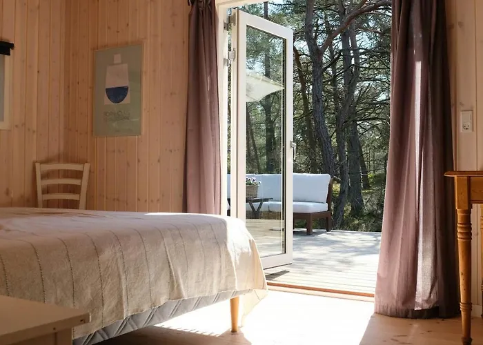 House With Clear View Of The Forest Near *