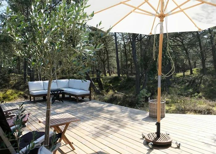 House With Clear View Of The Forest Near *