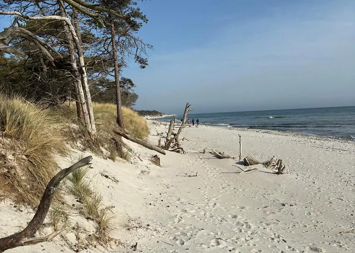 House With Clear View Of The Forest Near Дом отдыха